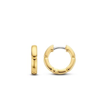 TI SENTO - Milano Earrings 7889SY