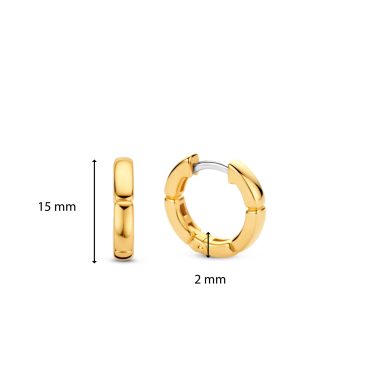 TI SENTO - Milano Earrings 7889SY