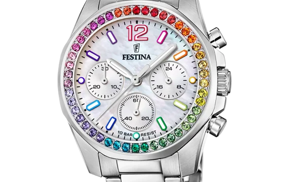 Relógio Festina Bicolor com zircónias F20606/2