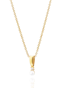 Colar Link 1LINK-1750