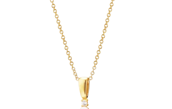 Colar Link 1LINK-1750