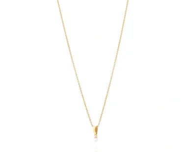 Colar Link 1LINK-1750