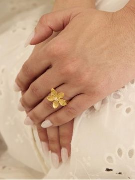 Anel Eugénio Campos Lily 110.B404.D1.12